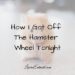 hamster wheel