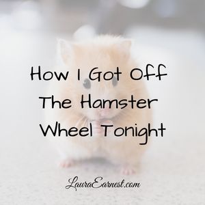 hamster wheel