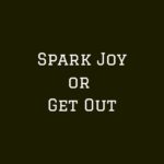 spark joy or get out